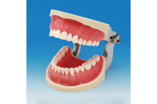 株式会社 ニッシン / MID-Gマッチング | midg