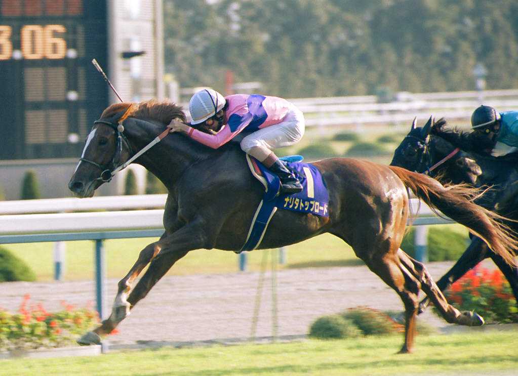 ナリタトップロード