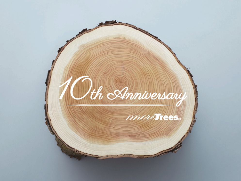 more trees design | 株式会社モア・トゥリーズ・デザイン » スツール