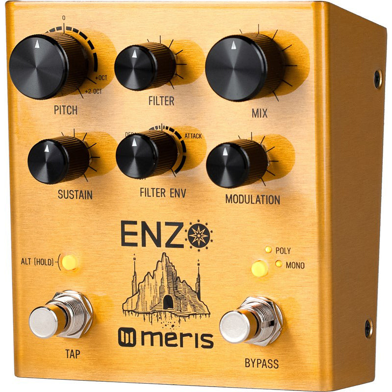Meris Enzo Synthesizer Pedal – Motor City Guitar