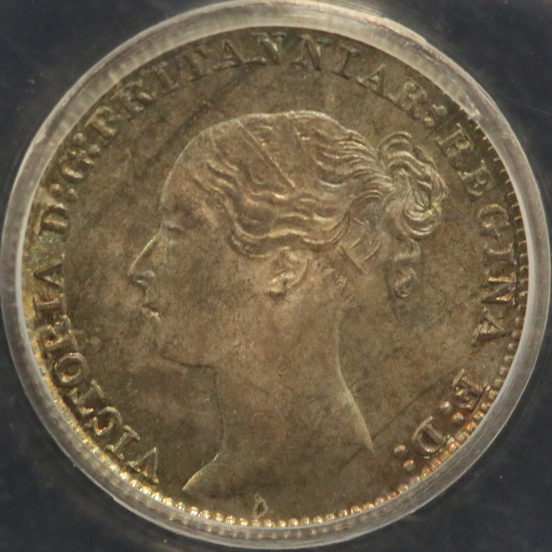 AZUGA411_3.jpg?v=1753419134&