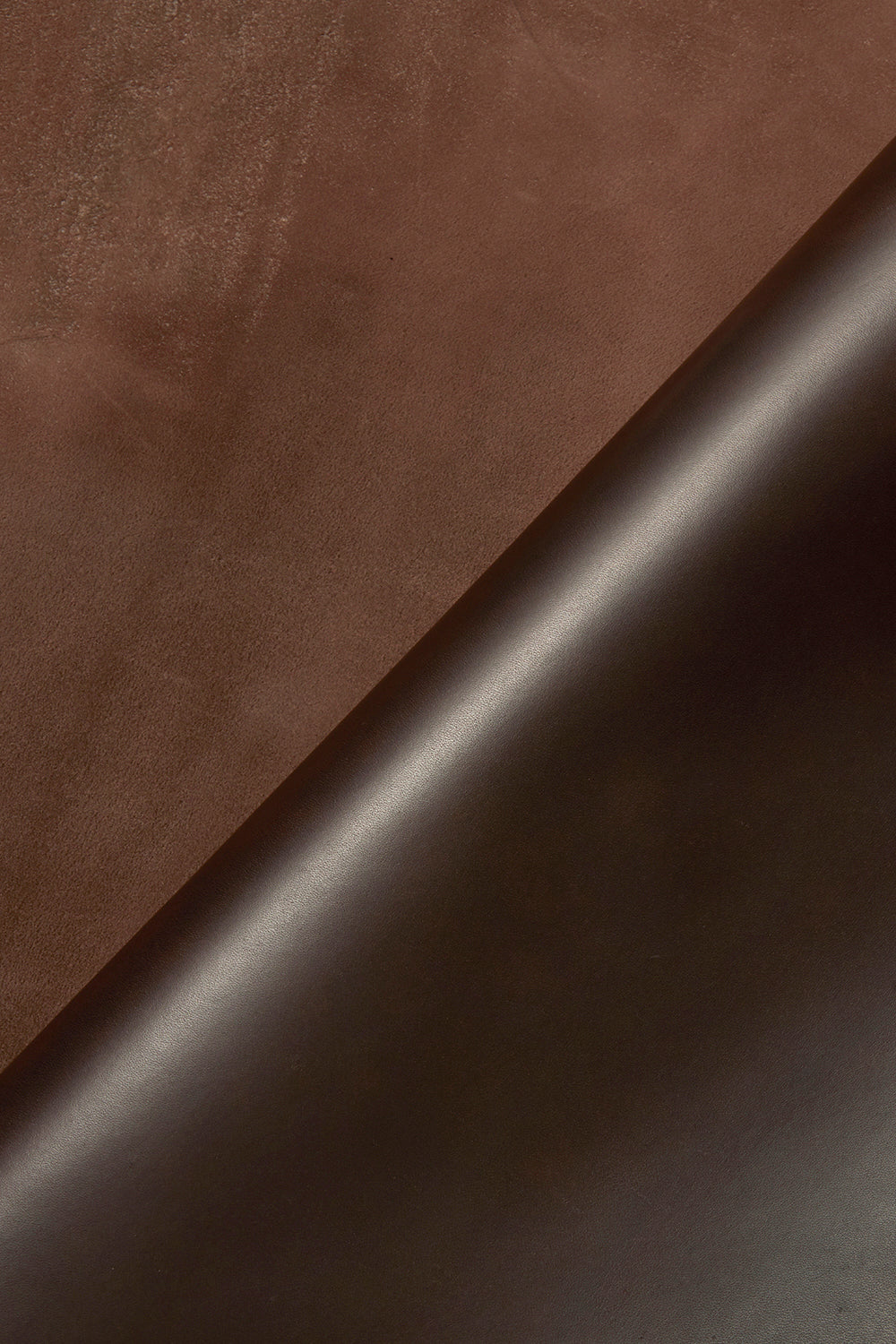 OXFORD c/# DARK BROWN – NIPPI FUJITA