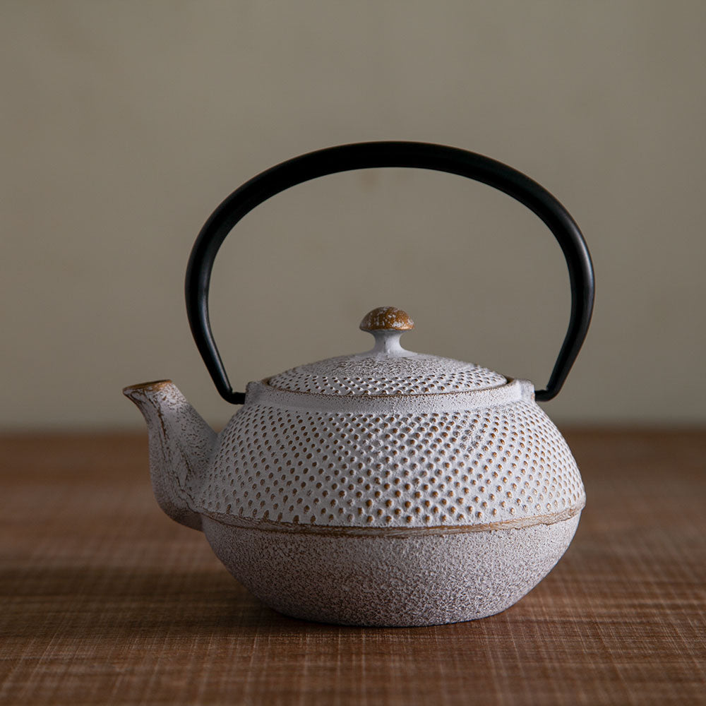 南部鉄器 急須 アラレ 0.4L 5種 ｜のレン神楽坂【公式通販】発酵