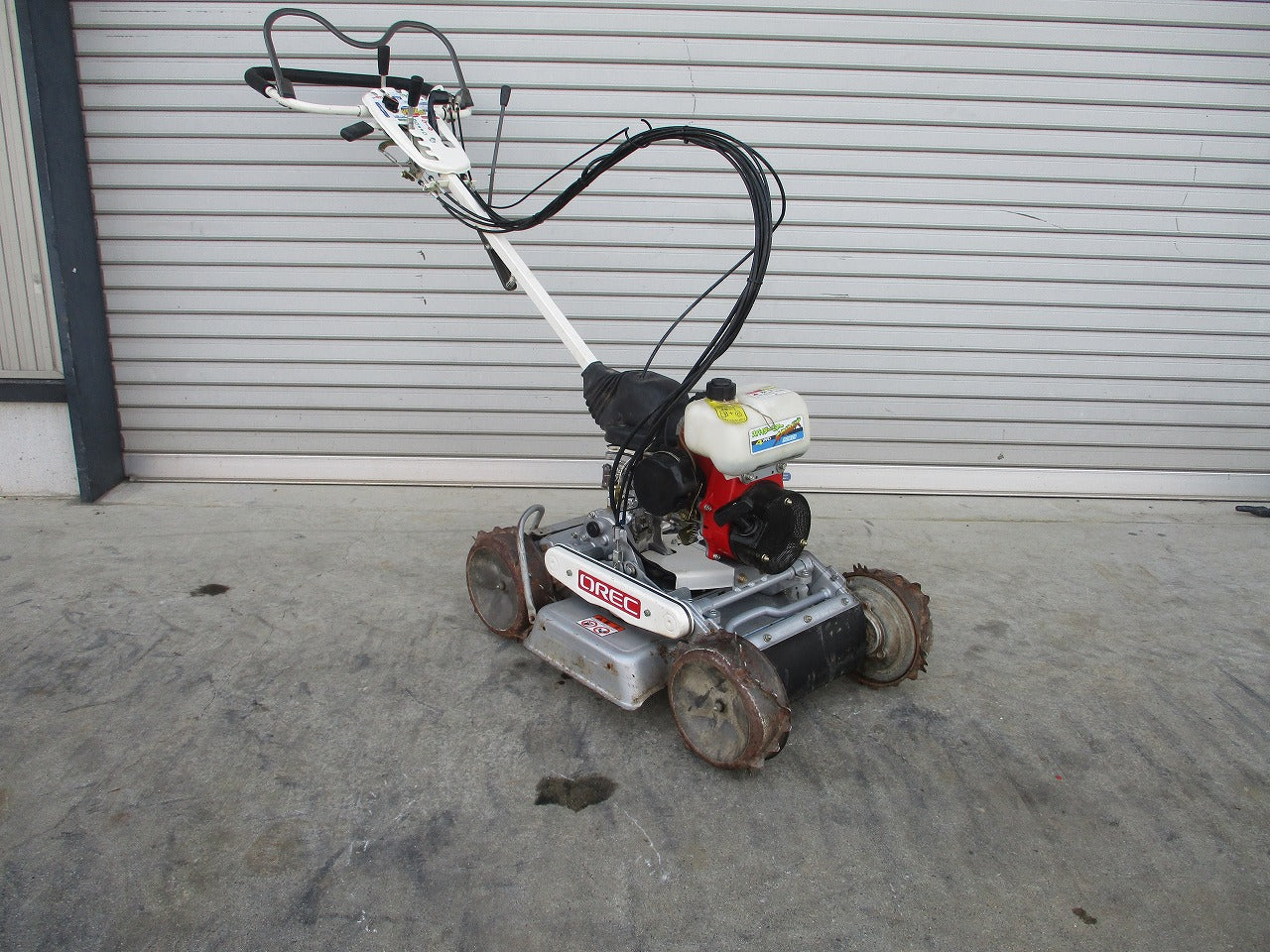 IMG_3529.jpg?v=1686746756