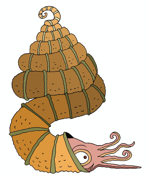 ディディモセラス | 造形粘土作家・宮川アジュ