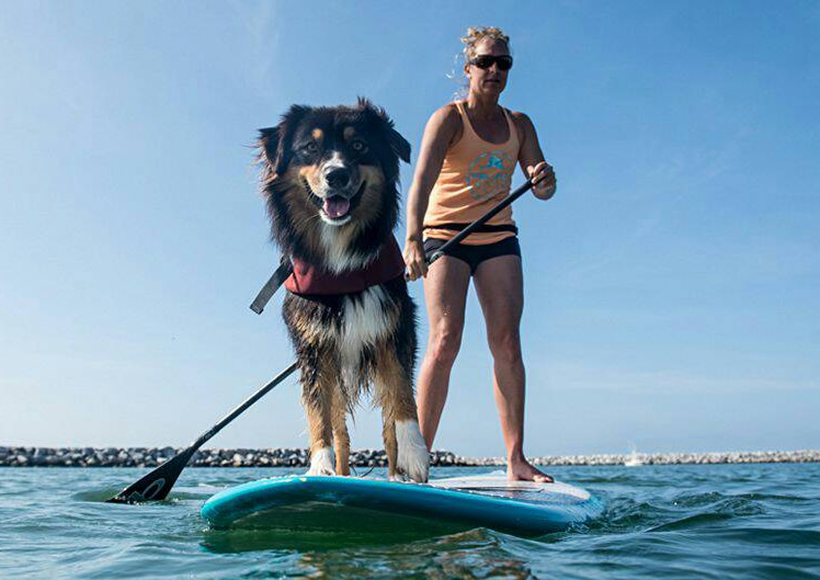 波の上BEACH SUP - 体験SUP・SUPヨガ・SUP DOG・BIG SUP10人乗り