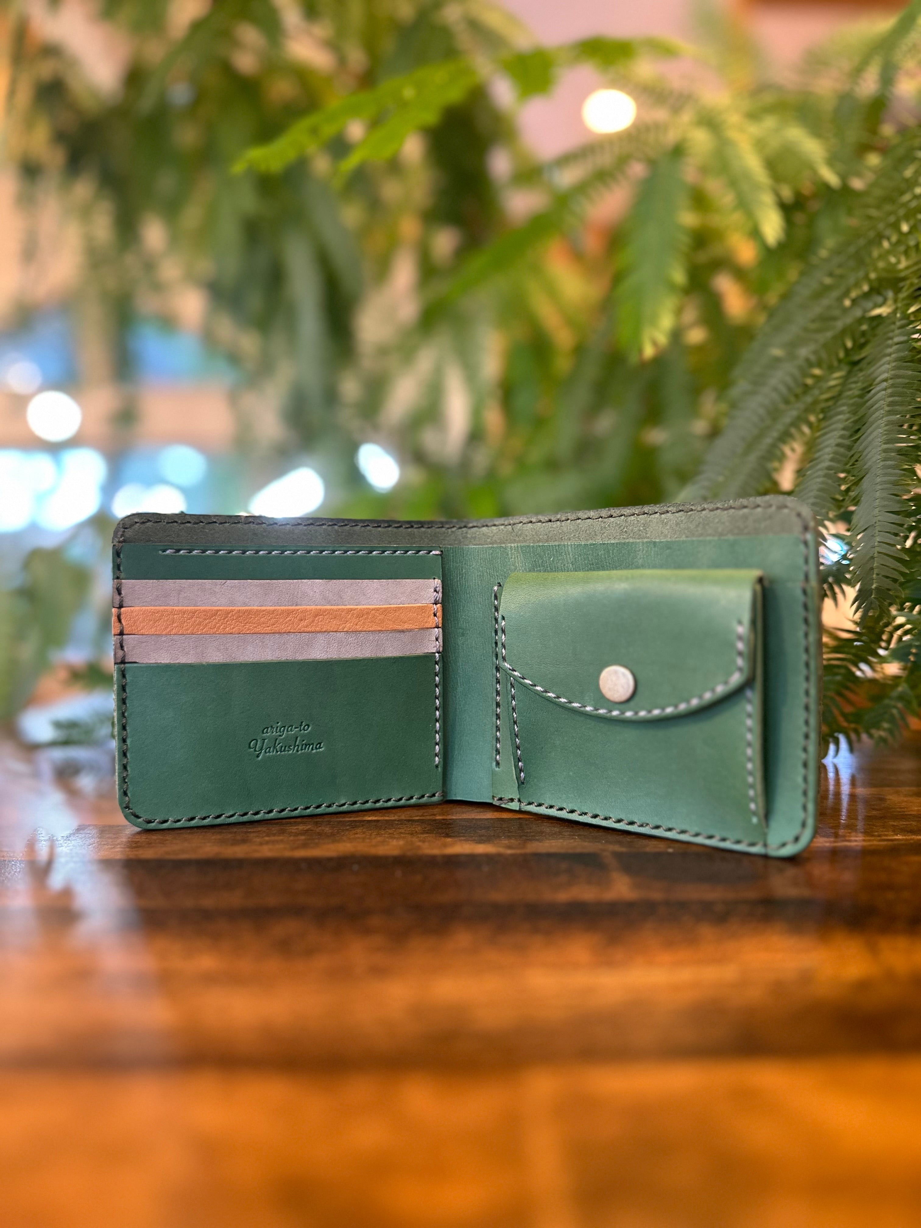 IMG-8100.jpg?v=1755347713&