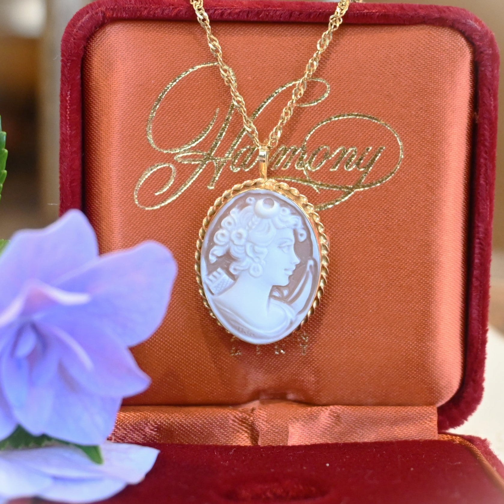 DSC_4930.jpg?v=1718597950