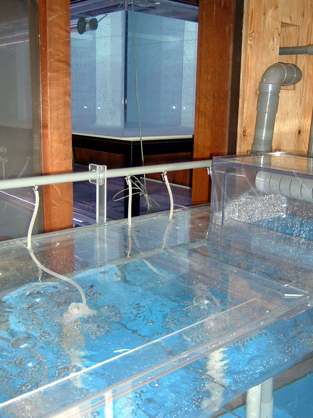 二段式サイドオーバーフロー水槽 アクリル水槽、オーバーフロー水槽の