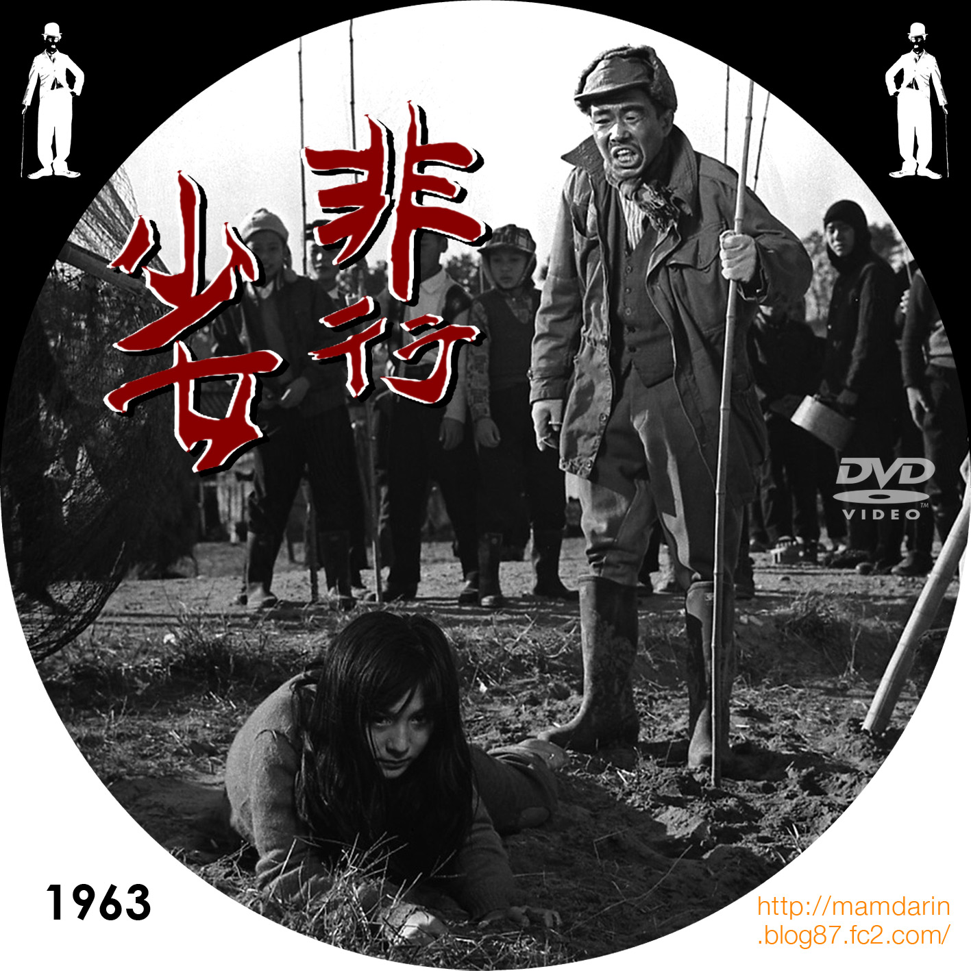 非行少女('63日活) 和泉雅子 セル版