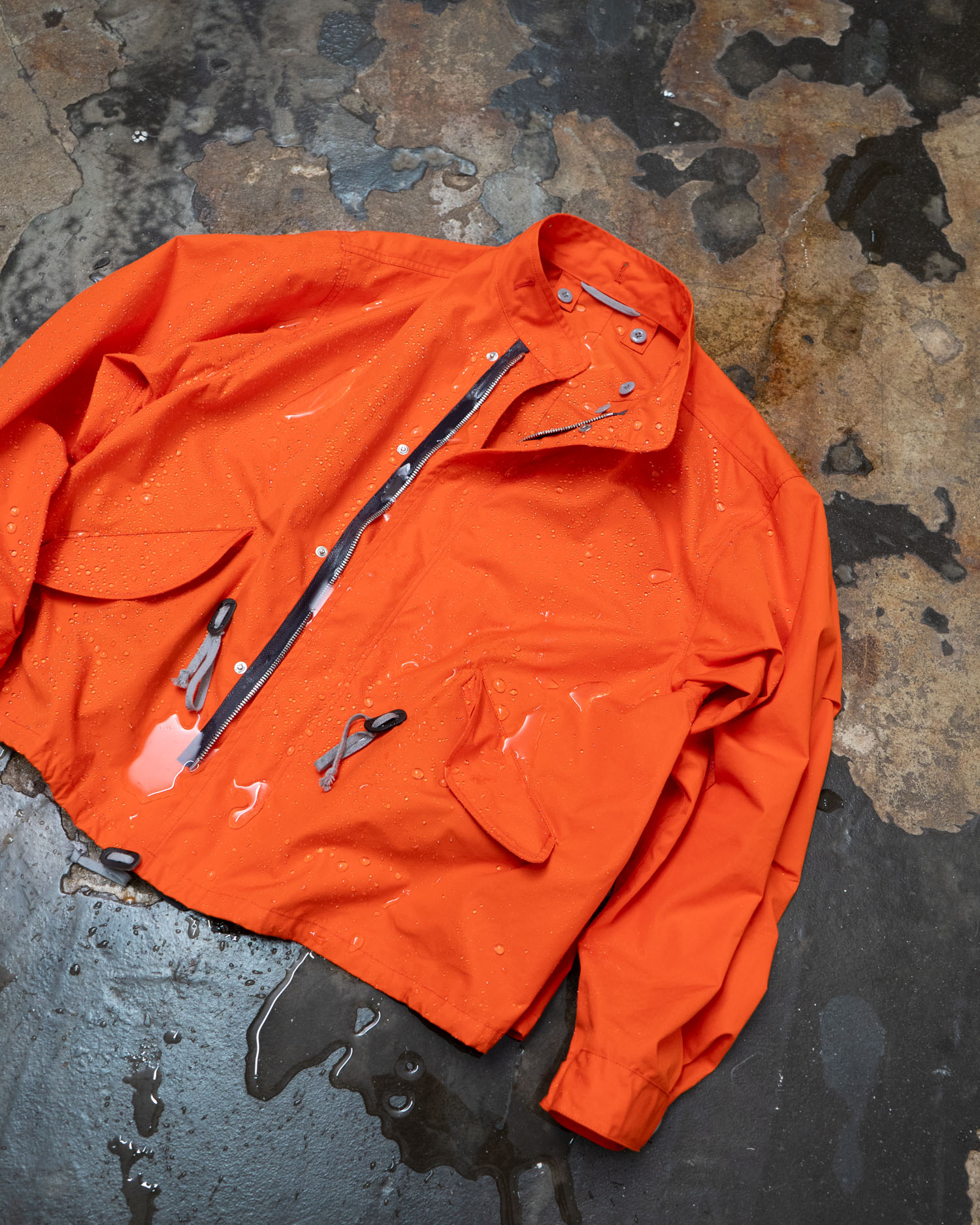 layer of autumn – BLACKBIRD – | WHITE ALBUM.