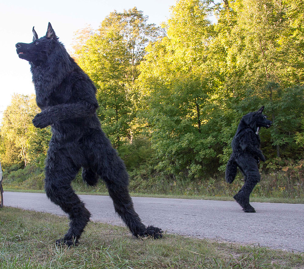 Filmmaker Rich Brauer – The Betsie Current Newspaper