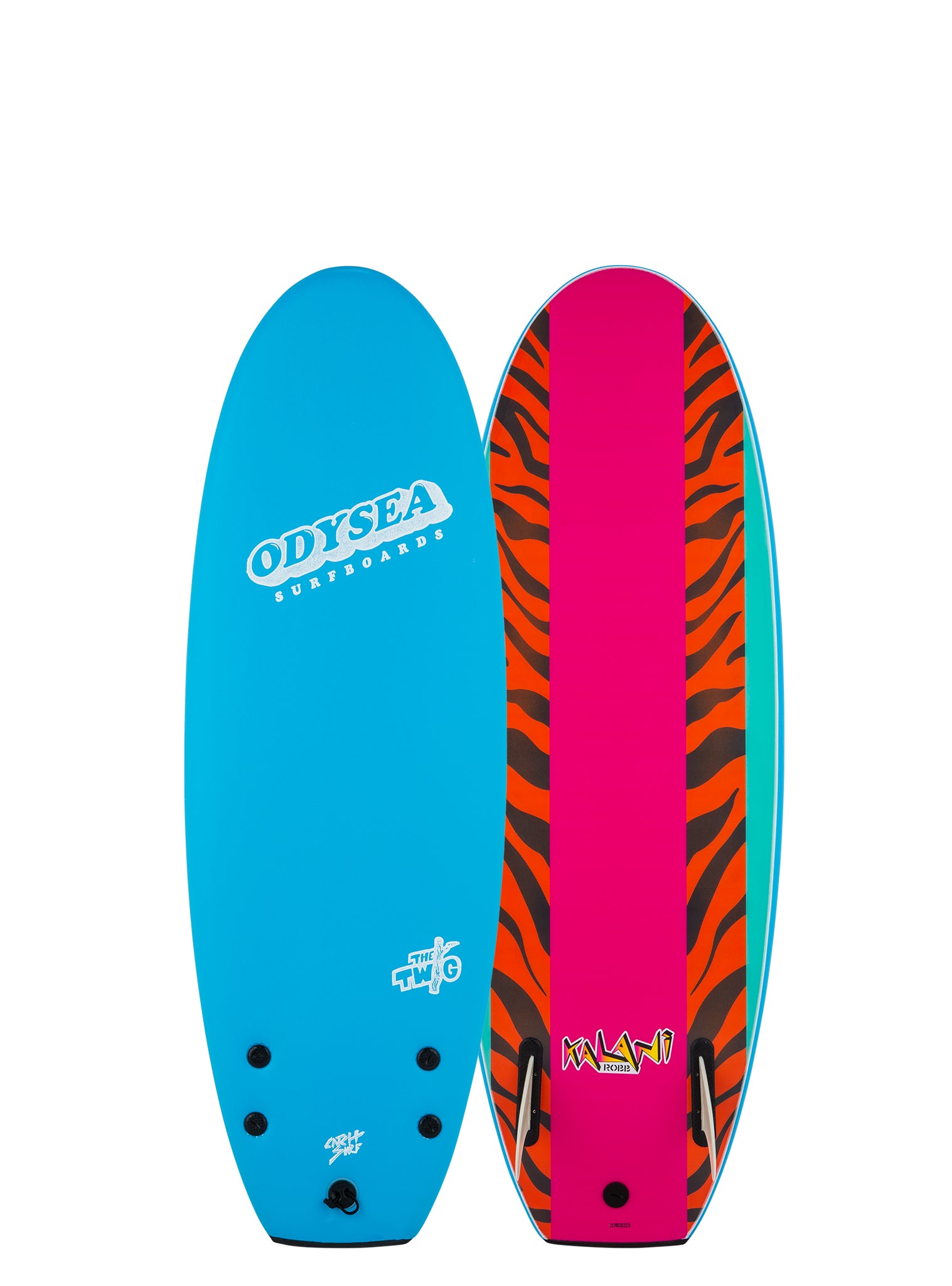 TWIG (Twin Fin / 4'10