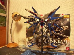 MGフリーダムガンダム エクストラフィニッシュバージョン MG