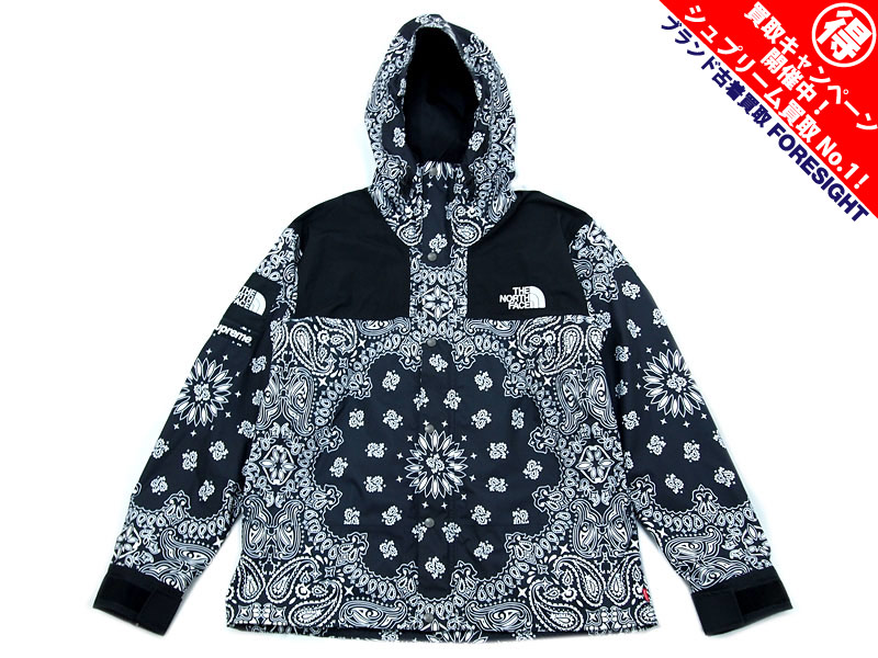 Supreme×THE NORTH FACE 'TNF Bandana Mountain Parka'バンダナ