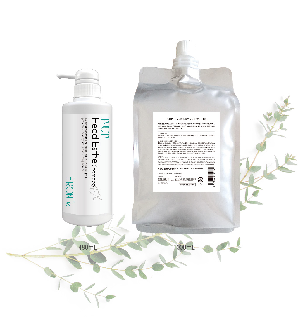 株式会社フロンテ