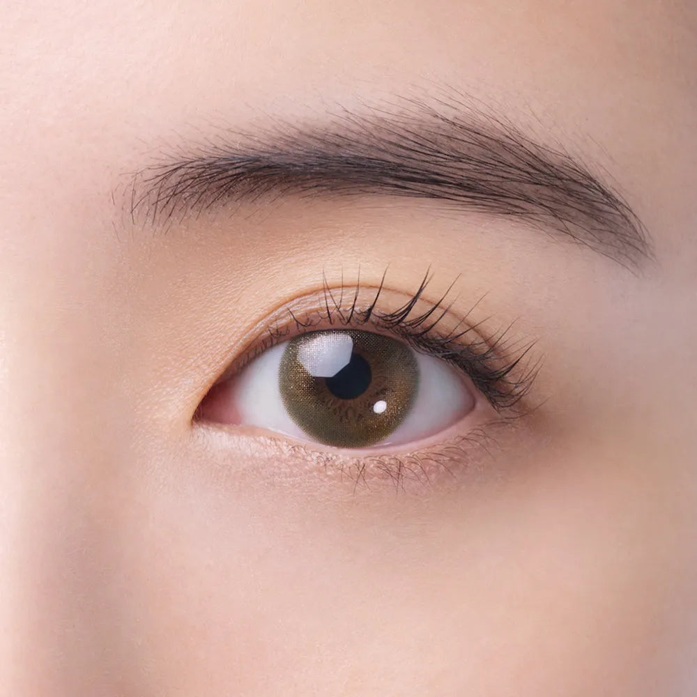 FAIRY 1day SHIMMERING SERIES ハロウォーム – FAIRY REPUBLIC