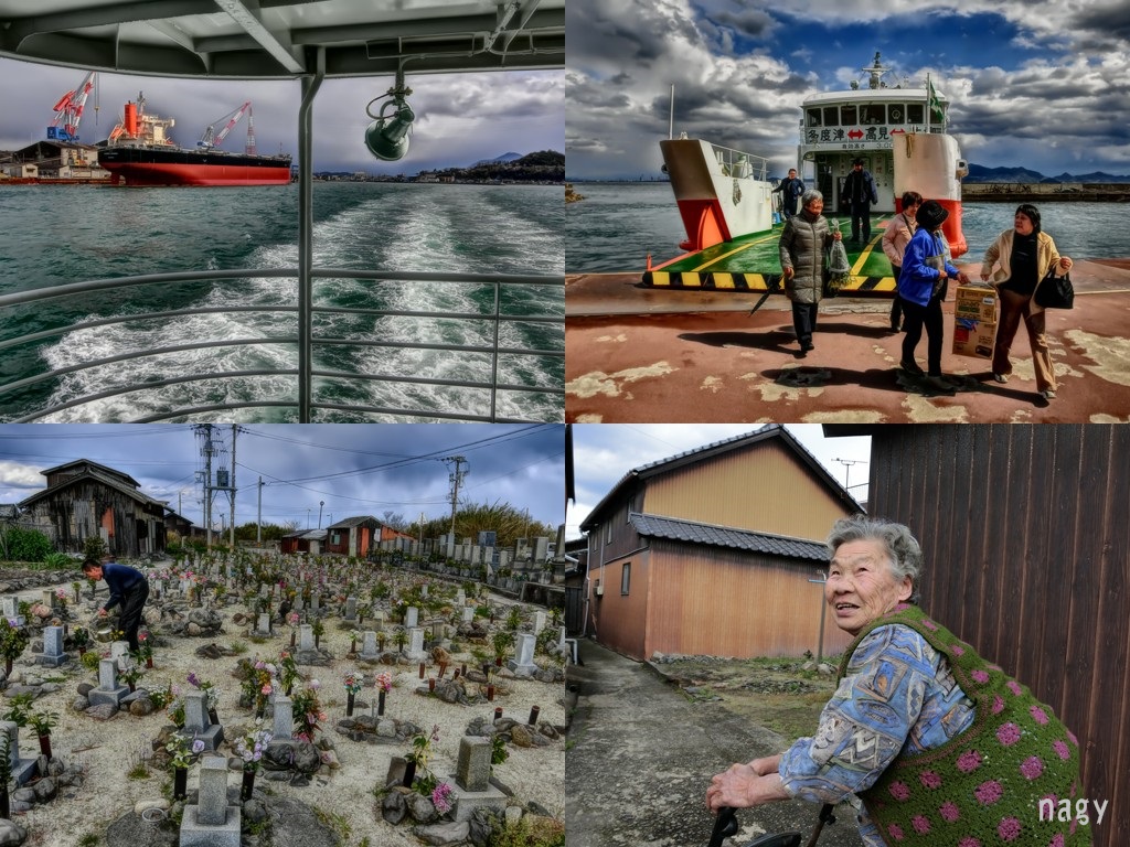 絵画 額装 パステル画 小島遊之作 富士山が見える海辺 箱付 絵画 額装