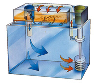 ひかるアクアリューム | 海水魚専門店. 水槽・水景の企画・設計・施工