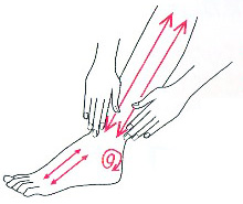 美らさーやな 55ml - ホリスティックウェルネスのオンラインショップ