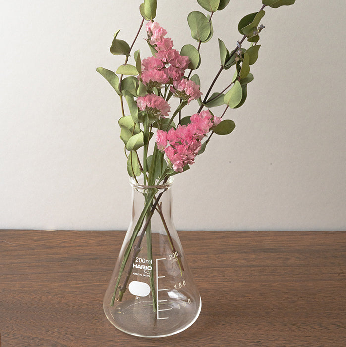 HARIO Erlenmeyer flask 200ml (6.8 oz.) – HARIO Lampwork Factory