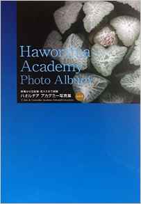 国際多肉植物協会