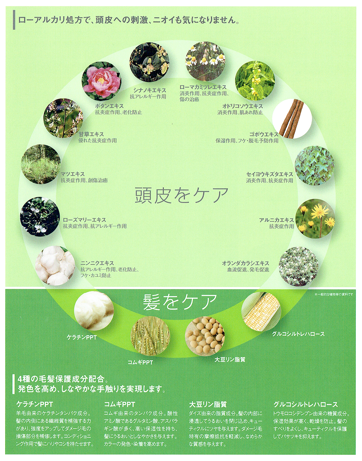 美容室専売品卸/通販 IDC-BeautyHair / ≪ 6本SET ≫ フィヨーレ BL