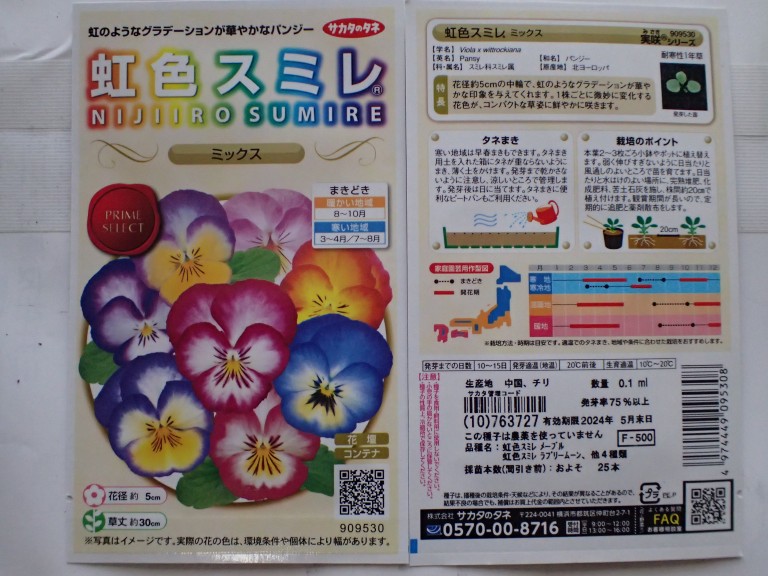 虹色スミレ」を育てる