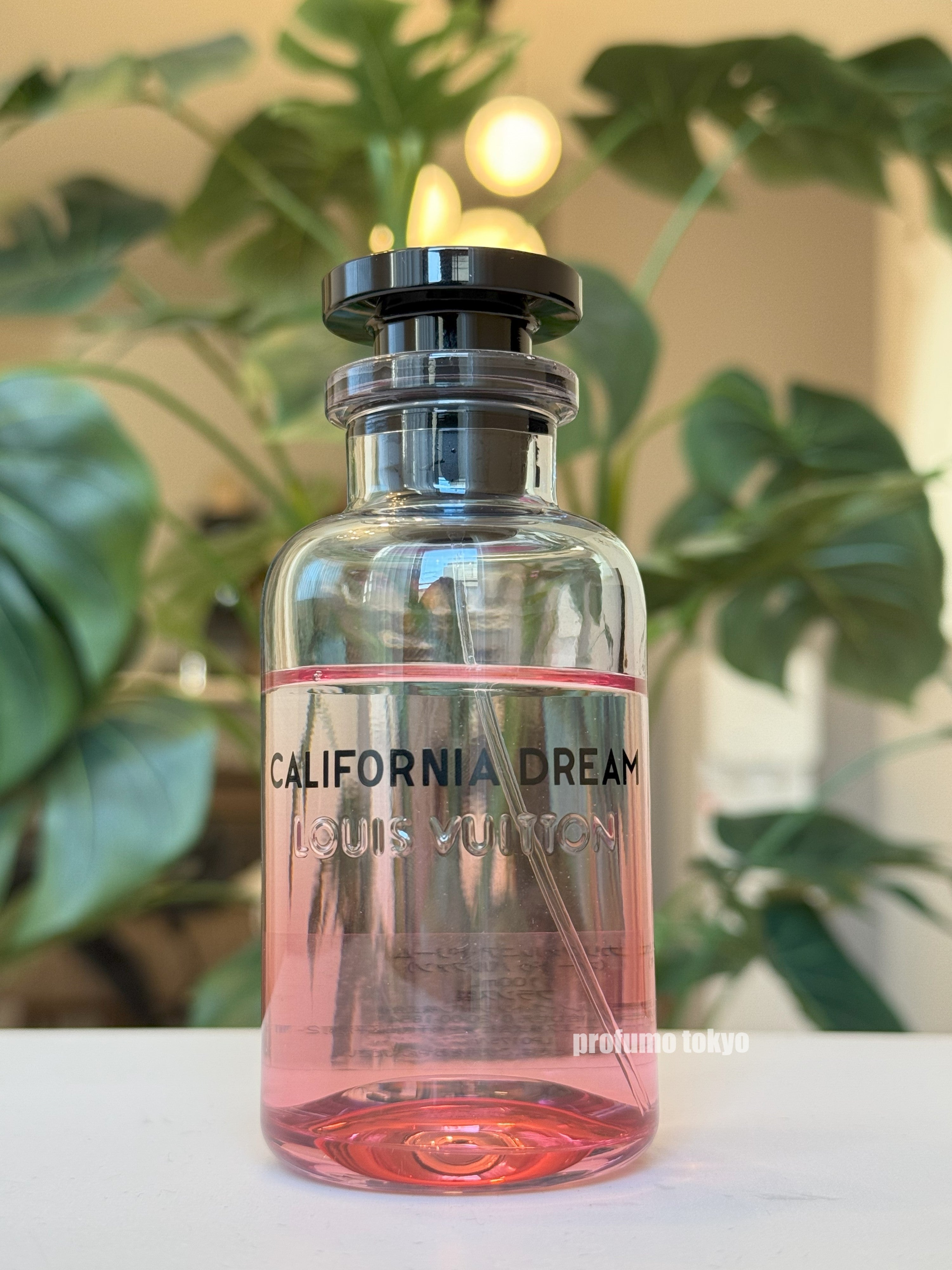 batch_IMG_5854.jpg?v=1736003036