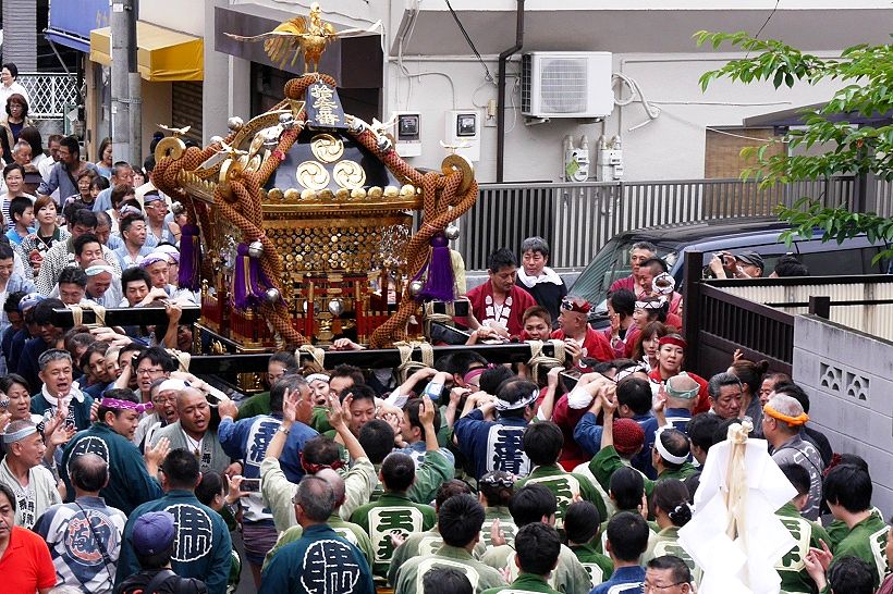 歴史の浪漫街道/ 祭りだ！神輿だ！お江戸の神輿 H28年 白髭神社