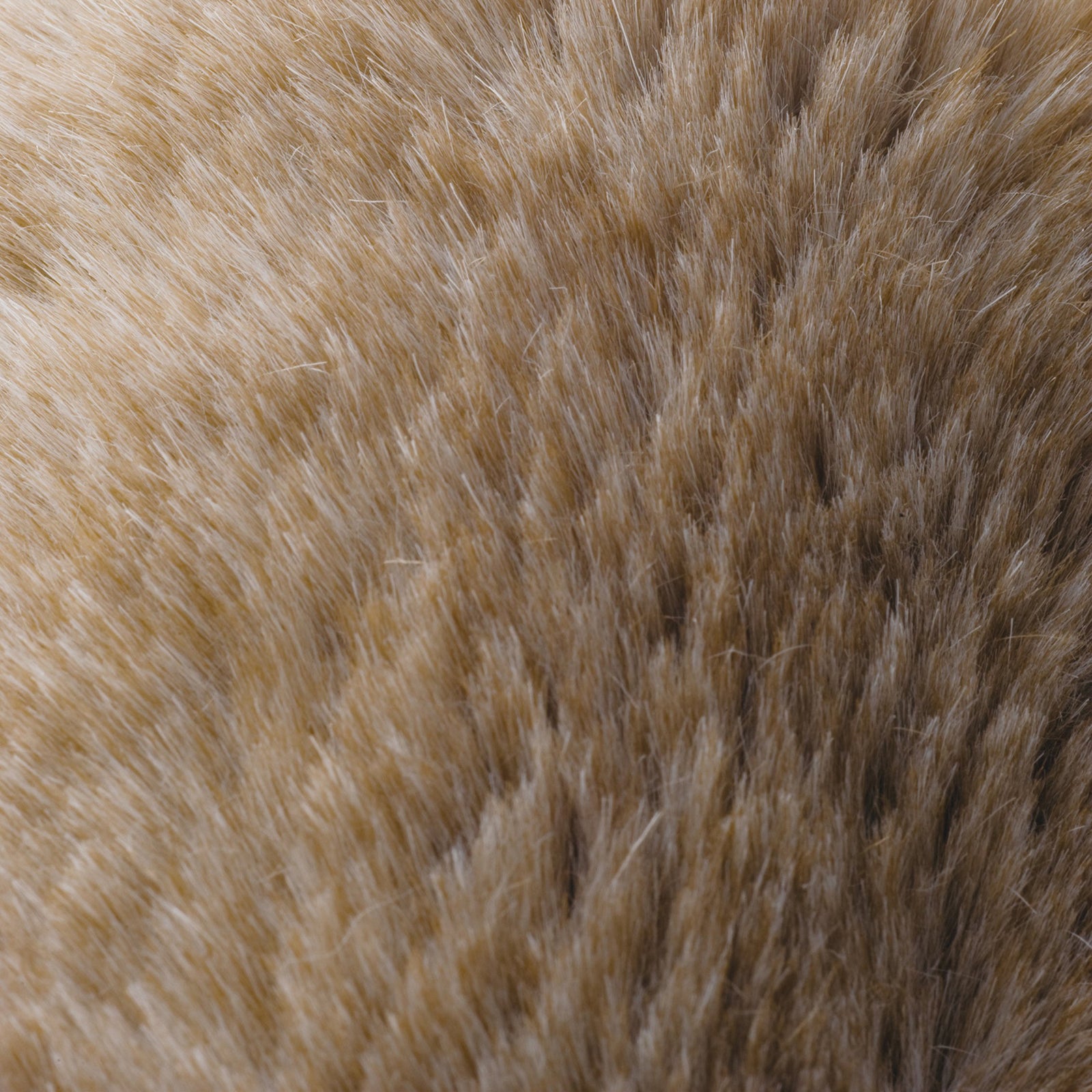 LAX FUR / ラックスファー (LXF-8 ブラウン)｜株式会社スミノエ