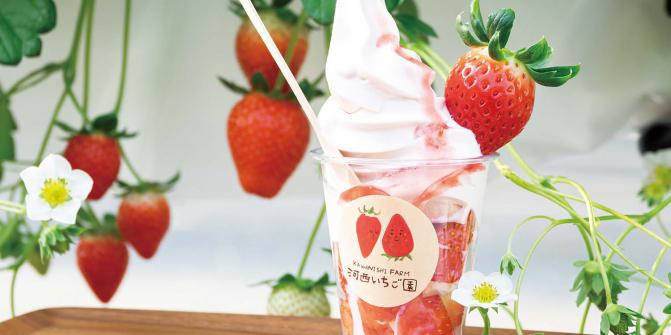 新鮮いちご&スイーツ満載の農園直営カフェ。｜河西いちご園｜滋賀県の