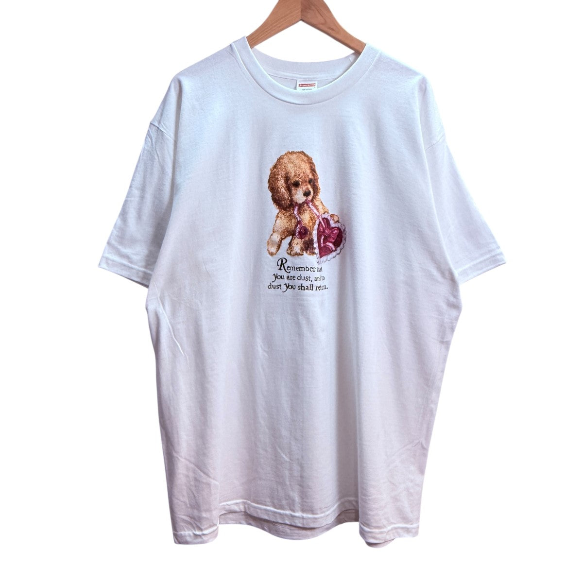 Supreme(シュプリーム) 25AW/Dust TEE／ダストTシャツ ホワイト サイズ