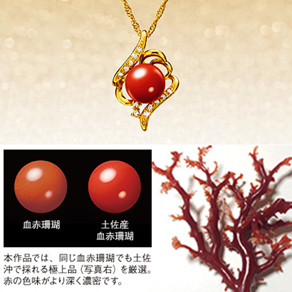 限定販売］真紅のラグジュアリー 土佐産 血赤珊瑚とダイヤモンドの純金