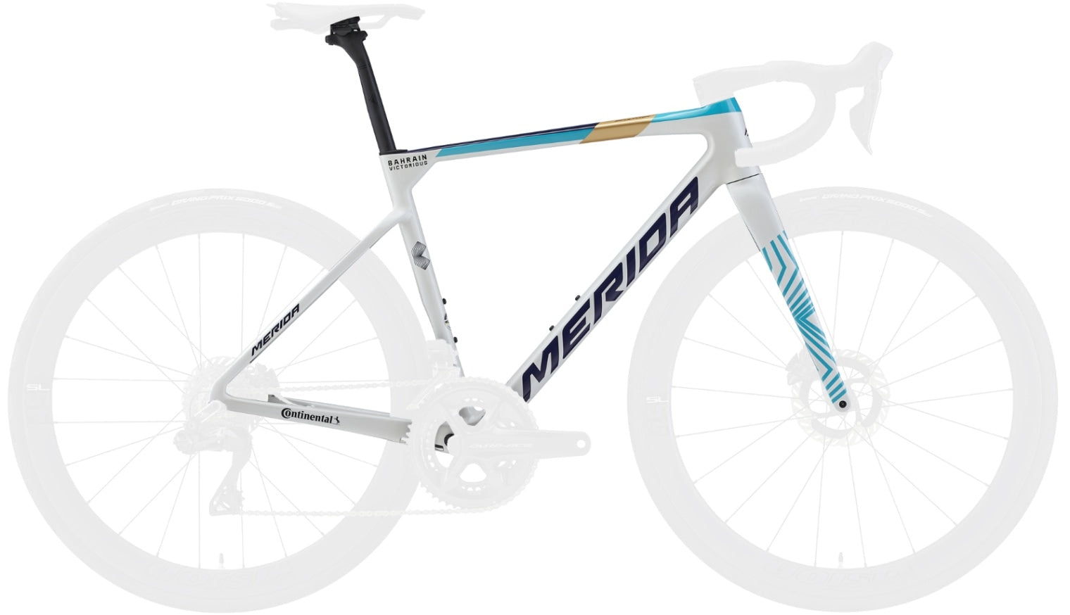 2024】SCULTURA TEAM FRAME SET（スクルトゥーラ チーム フレーム