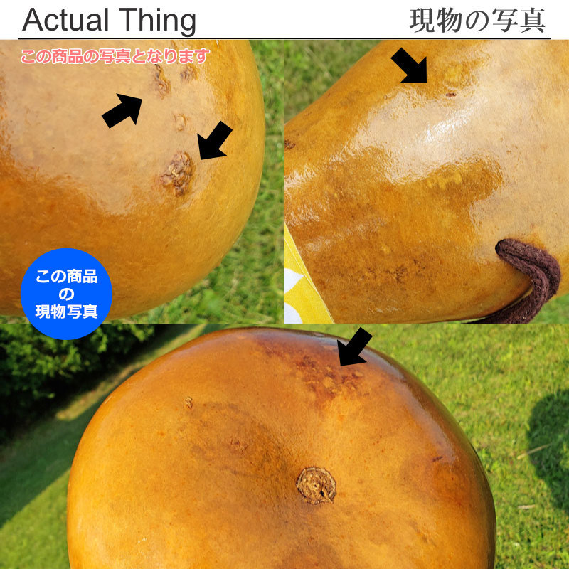 フラダンス楽器｜イプ・ヘケ・オレ ハワイ製 Lサイズ(9インチ) 349gの