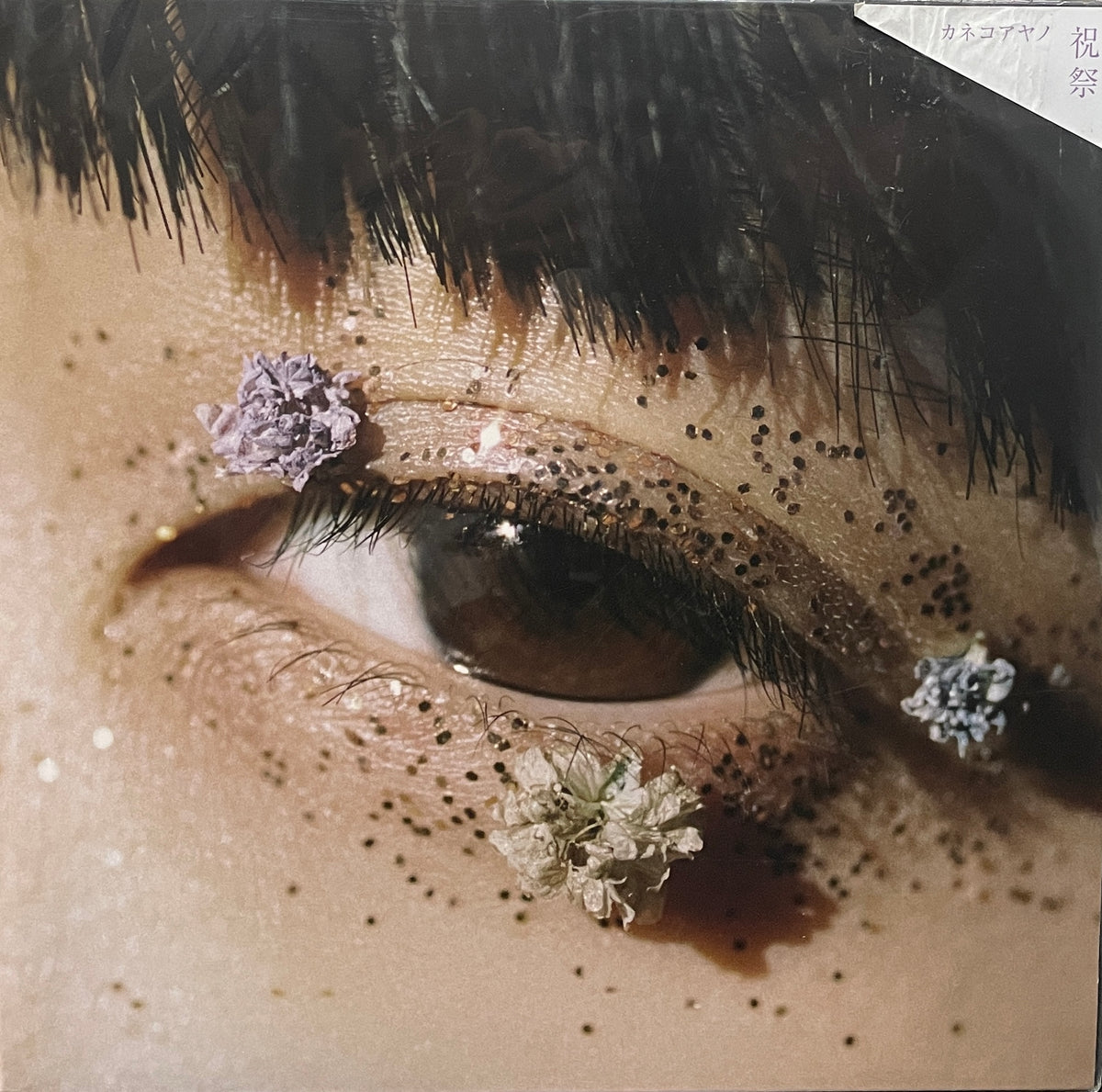 IMG_3379_1200x1200.jpg?v=