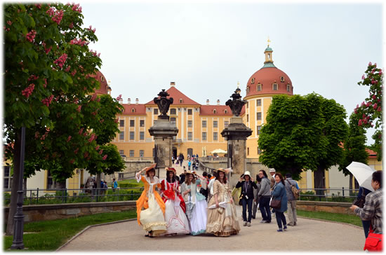 マイセン観光、モーリッツブルク城