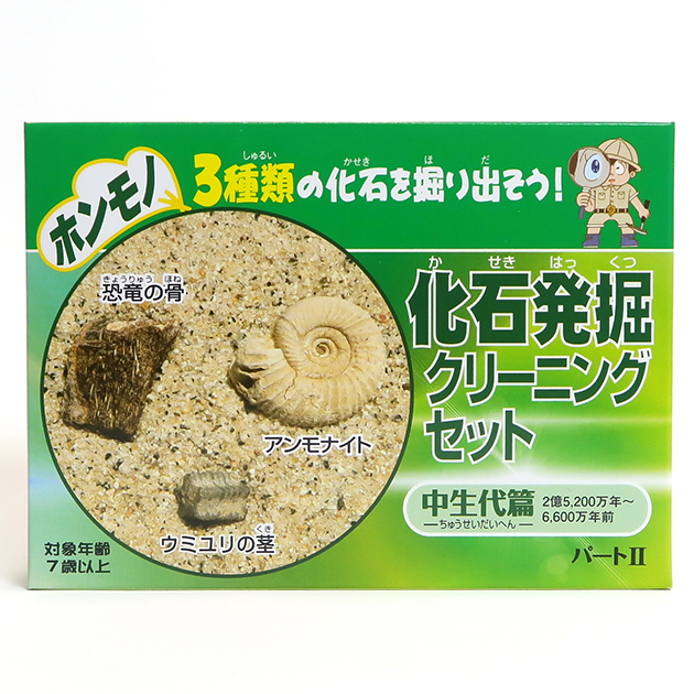 重要】化石発掘クリーニングセット《中生代編》交換対応について｜化石