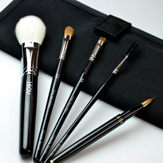 竹田ブラシ スターターセットベーシックSP 黒長軸 （5本セット：ポーチ