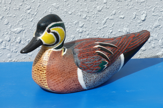 tsibuho051112tomoegamo