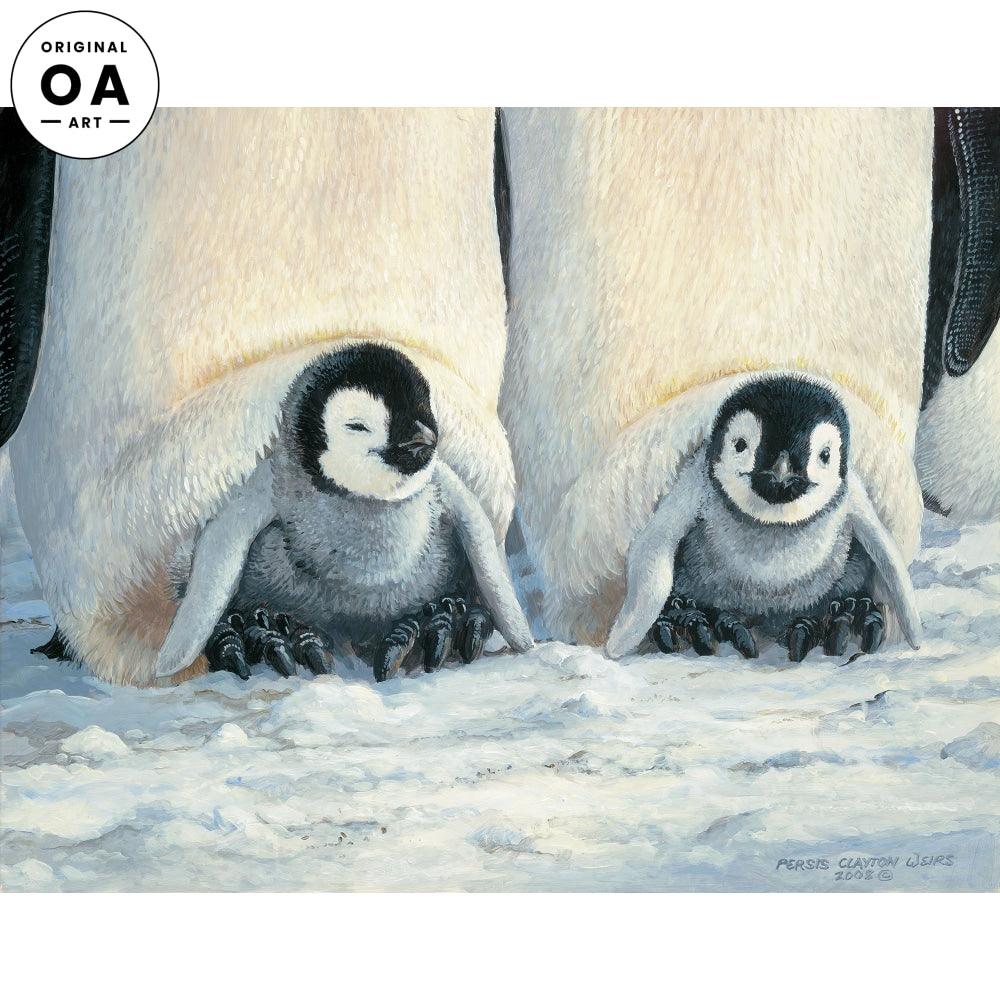 Keeping Warm - Penguins - 11