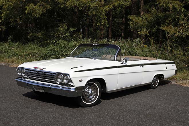 伸びやかなロングノーズ、引き締めるロングテール、隙のないその