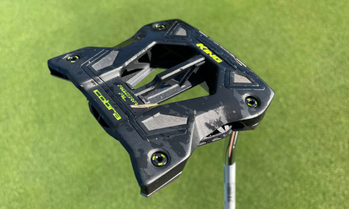 Cobra KING 3D PRINTED AGERA ARMLOCK PUTTER (ANSERFREAK)