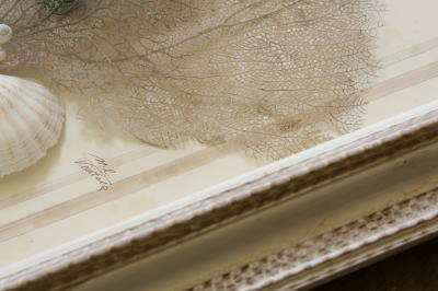 アンティーク標本 貝 珊瑚 海藻 アートフレーム イタリアフィレンツェ