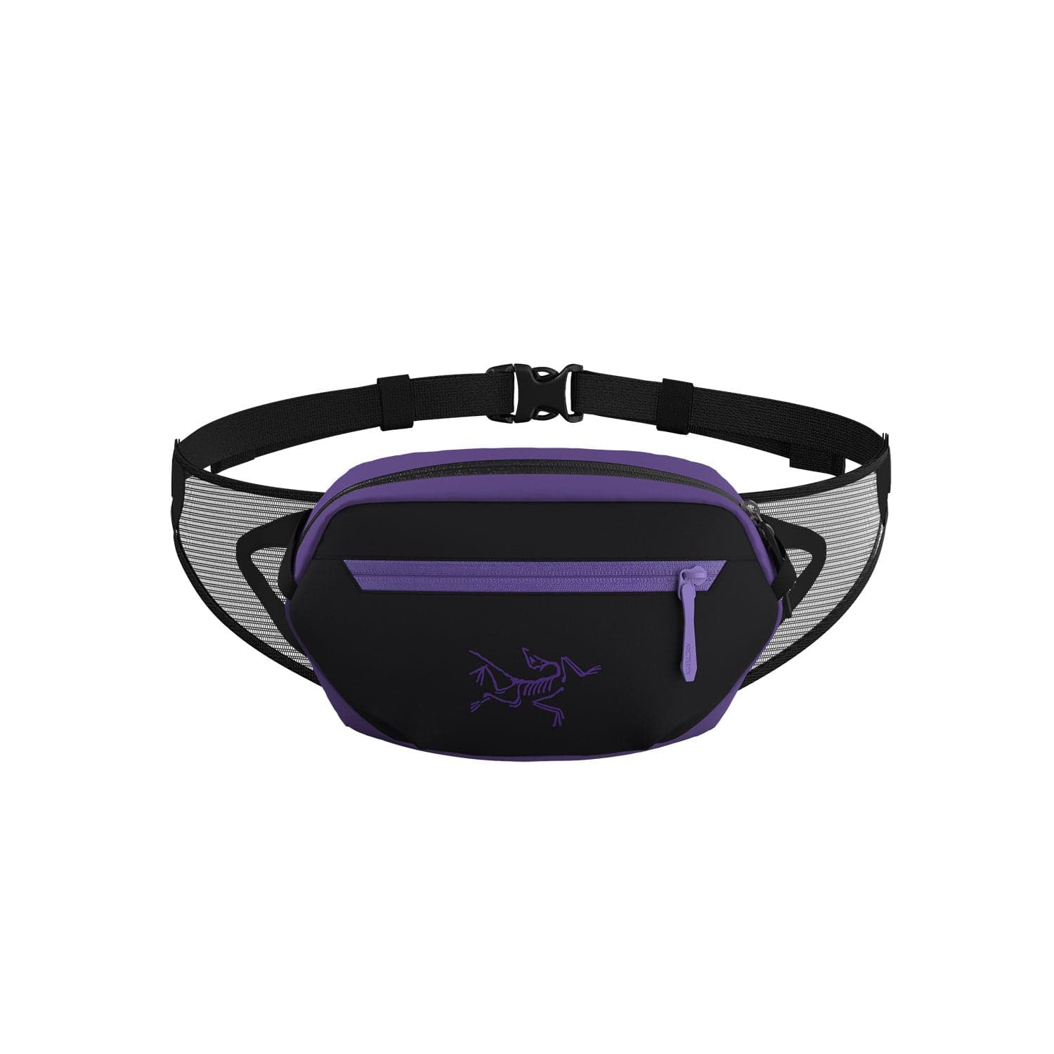 Arc'teryx Arro Waist Pack – Campmor