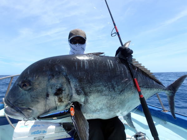 カーペンター ダムセル