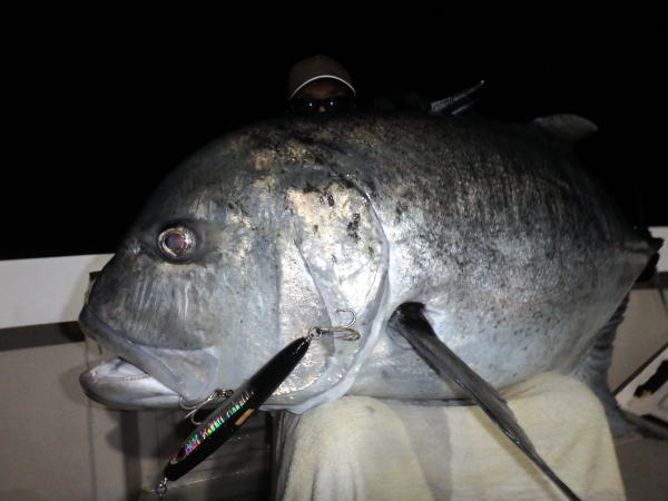 カーペンター BLC84/26 ブルーチェイサー