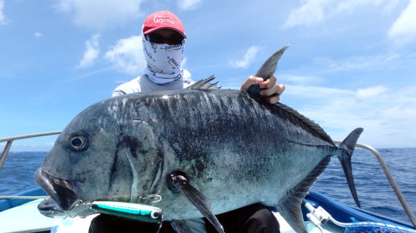 カーペンター BLC84/26 ブルーチェイサー