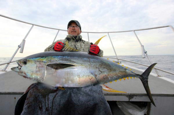 カーペンター BLC84/22 ブルーチェイサー